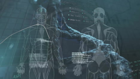 animación del procesamiento de datos sobre modelo humano y cadena de adn en fondo negro