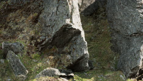 Cerca-De-La-Formación-De-Piedras-Rocosas