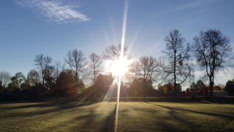 Looking-at-trees-without-leaves-in-late-autumn-in-the-morning-with-sun-beams-through-the-trees-over-a-field-in-Ottawa,-Ontario