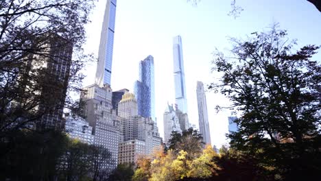 Vista-Del-Paisaje-Urbano-Moderno-De-La-Ciudad-De-Nueva-York-Con-Un-árbol-Del-Parque-Central