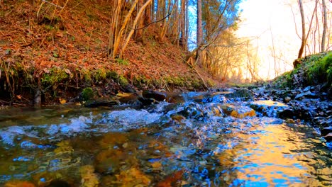 Low-angle-close-up-of-small-stream-surface-with-water-flowing-through-the-forest,-relaxing-nature-background