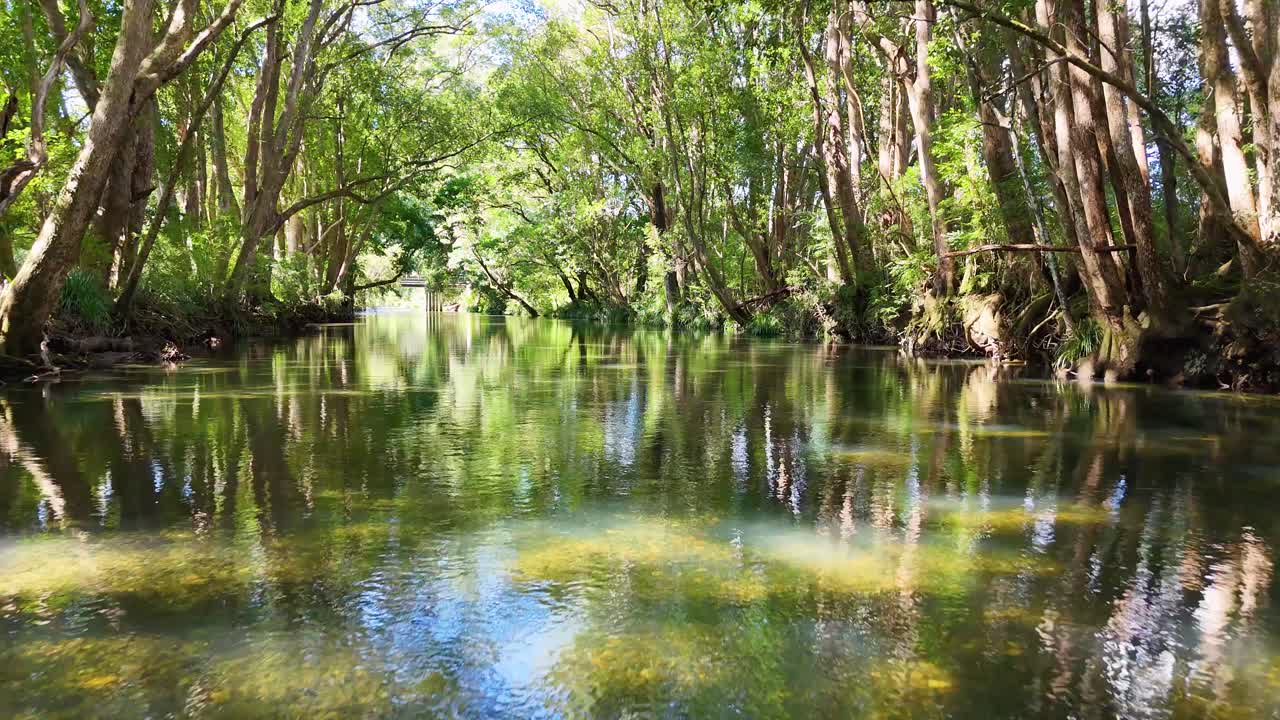 A tranquil river flows through dense, sunlit forest in Bellingen, Australia, captured with smooth camera movement and vibrant lighting