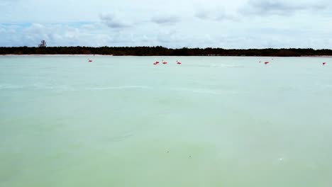 calm sea of   crystal clear waters with sand banks where flamingos are found