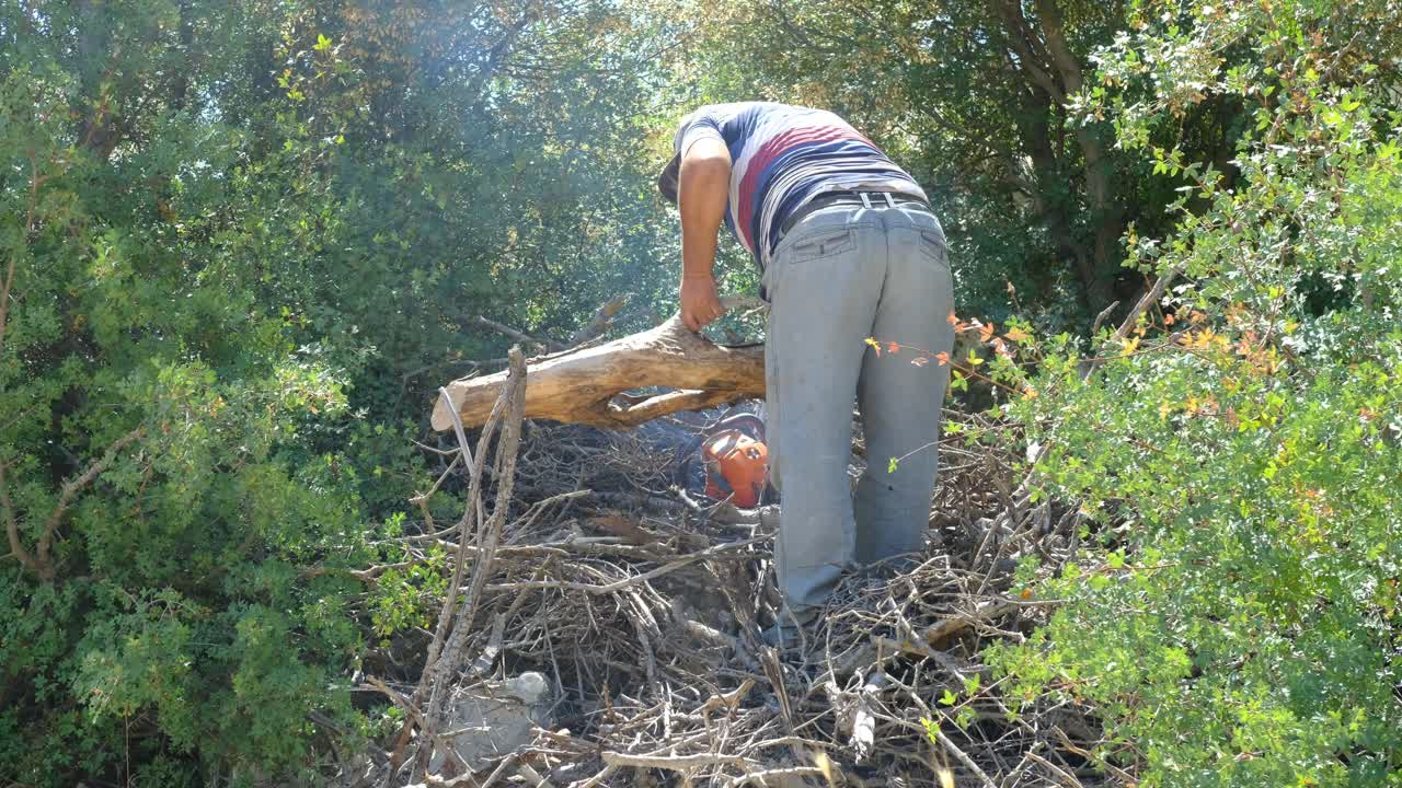 homem cortando madeira com serra de cadeia floresta