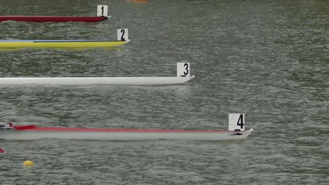 the four bows of the single sculls are lined up at the start of the race