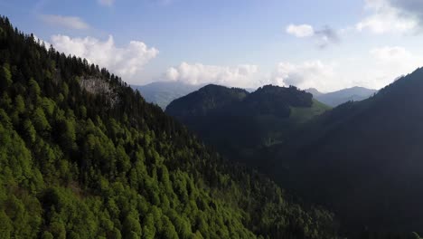 密集森林覆蓋的山坡, 無人機從空中拍攝