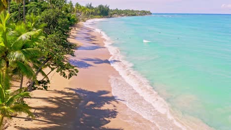 La-Gente-Nada-En-La-Playa-Bordeada-De-Palmeras-Tropicales,-El-Caribe-Cristalino,-Drone