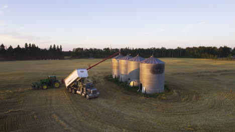 grano di grano raccolto scaricato e trasferito nei silos di grano dell'azienda agricola