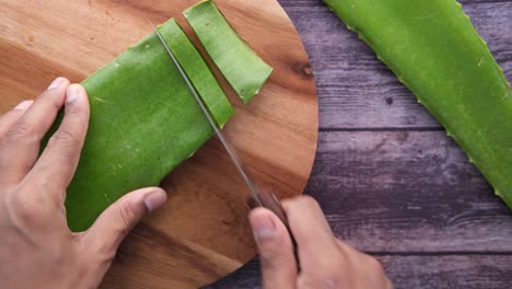 cutting aloe vera leaves