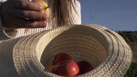 mujer poniendo manzanas rojas maduras en un sombrero de paja plano medio