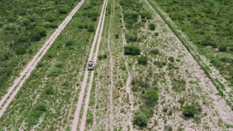 antena de un land rover de safari conduciendo a través de la valla de la sabana de la reserva de caza del kalahari central, botswana