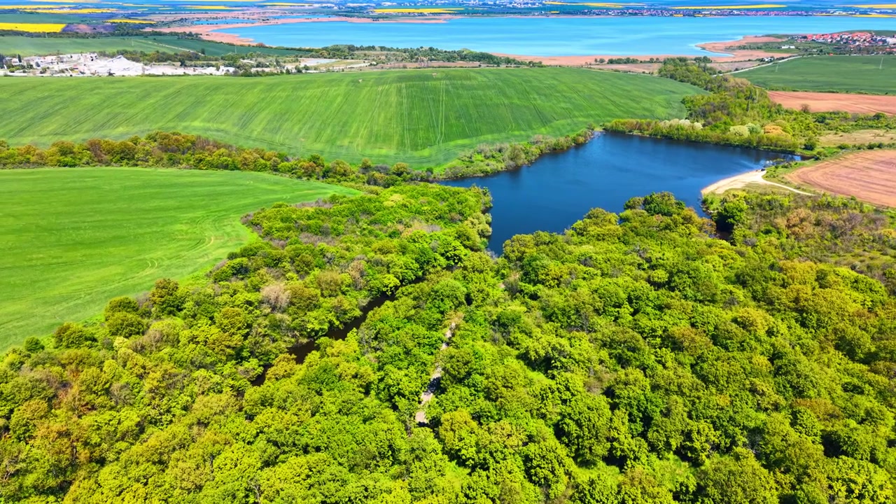 Letecká krajina klikaté řeky vlévající se do modrého přírodního jezera. Pohled shora na vodní plochu obklopenou zelenými lesními stromy a zemědělskými poli.