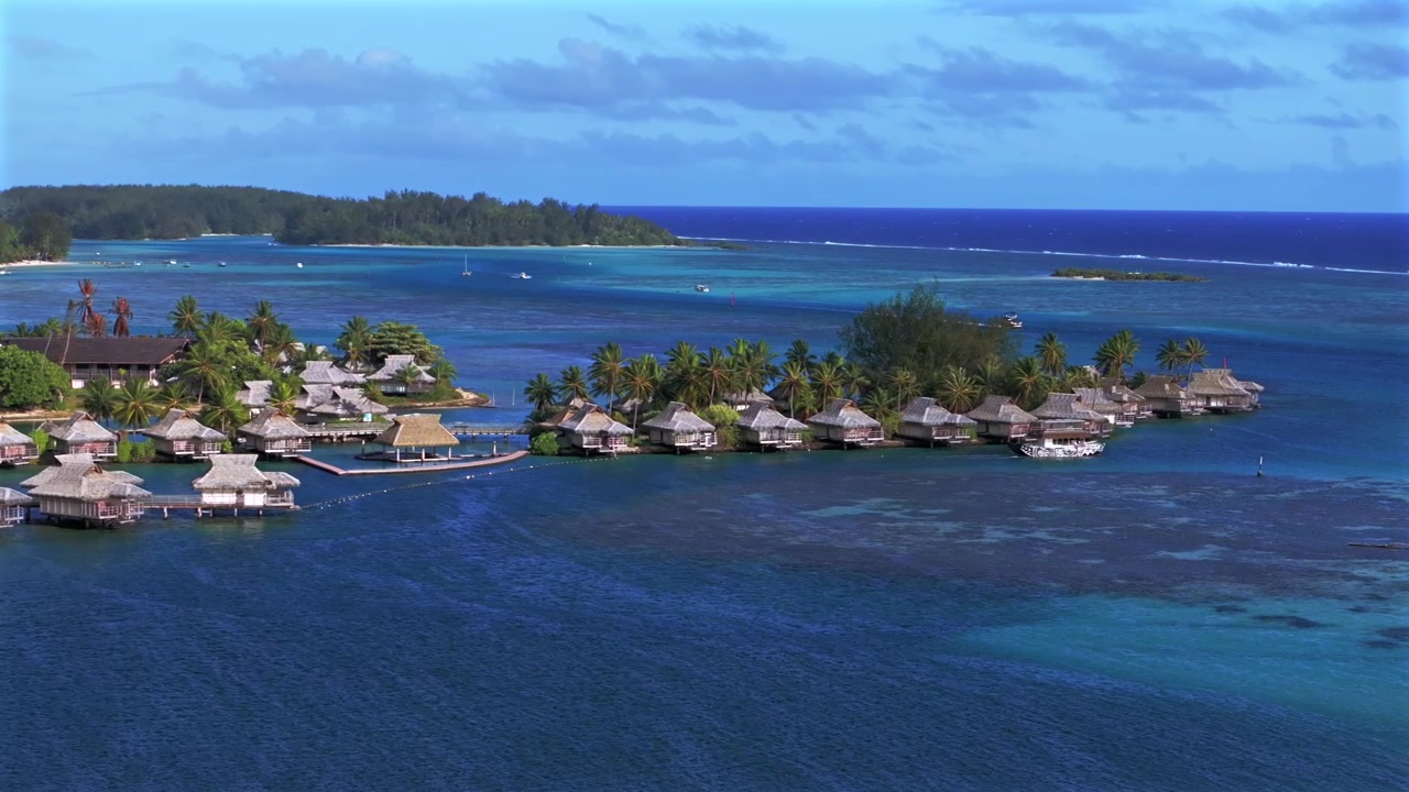 Sejlbåde, yachter, Opunohu Bungalows bygninger over Cook's Bay koralrevskanal. Bora Bora, Moorea, Fransk Polynesien. Luftdrone over Tahiti-øen, Ta'ahiamanu offentlige strand. Morgen, solrig blå himmel, cirkulær udsigt.