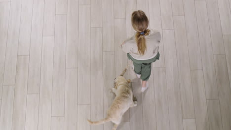 un niño juega con un cachorro - el perro agarra una cuerda. vista desde arriba