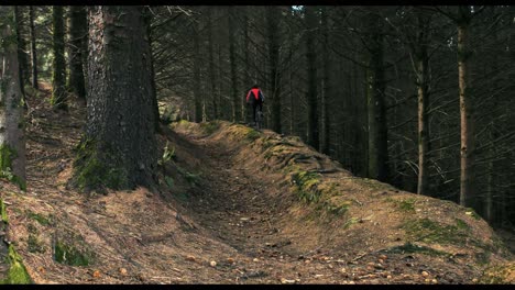 mountain biker riding bicycle in forest