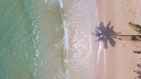 Man-swinging-on-palm-tree-over-Koh-Kood-beach-waves-in-summer-breeze