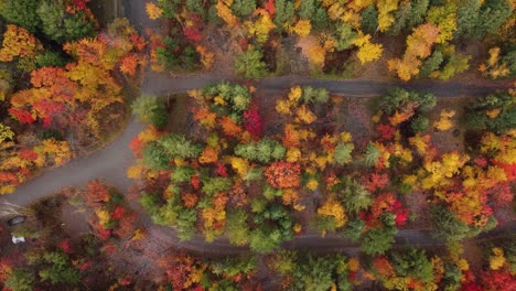 luchtfoto landschap bovenaanzicht over een weg die kronkelt door een kleurrijk herfstbos, met geelrood en oranje gebladerte