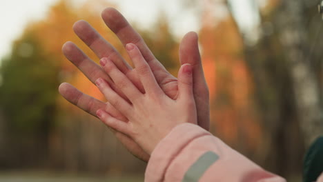 a close-up captures a tender moment where an adult's hand gently rests on a child's hand, set against a warm, blurred autumn background