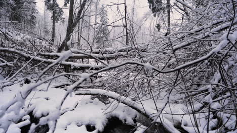 Un-Arroyo-Gorgoteante-En-Un-Matorral-De-Ramas-Nevadas,-Movimiento-Vertical