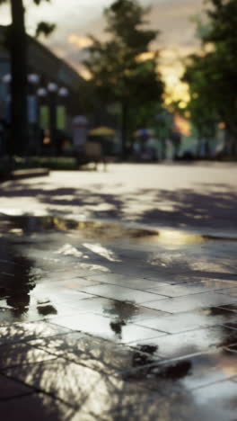 wet pavement with reflections of a city street at sunset