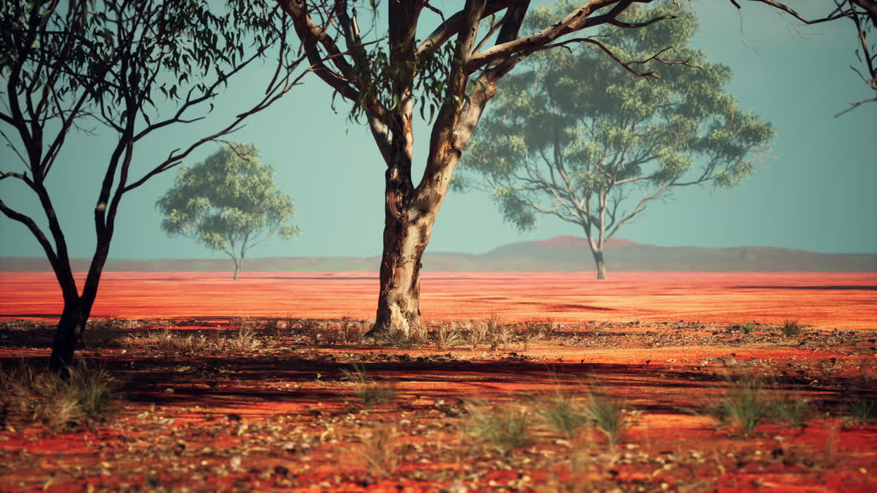 아프리카 풍경 의 아카시아 트라이스