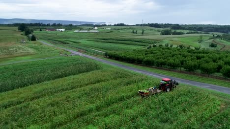 vista aérea del tractor tirando de una cama plana llena de maíz recién recogido por el campo