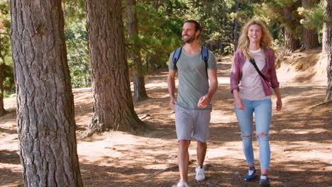 children running ahead of parents on family hiking adventure