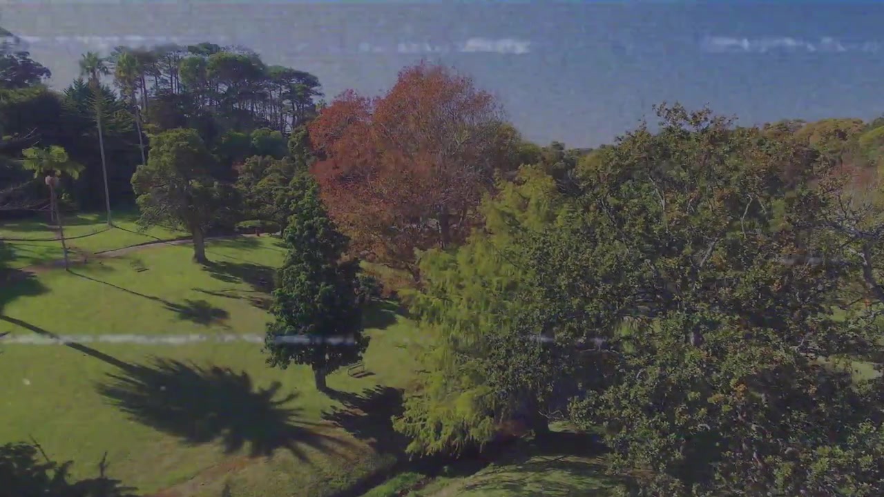 Telecamera drone che si lancia e sale verso foglie rosse con linee glitch che enfatizzano il colore autunnale