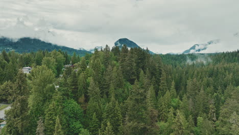 Kleine-Wohnstraße-Neben-Dichtem-Wald