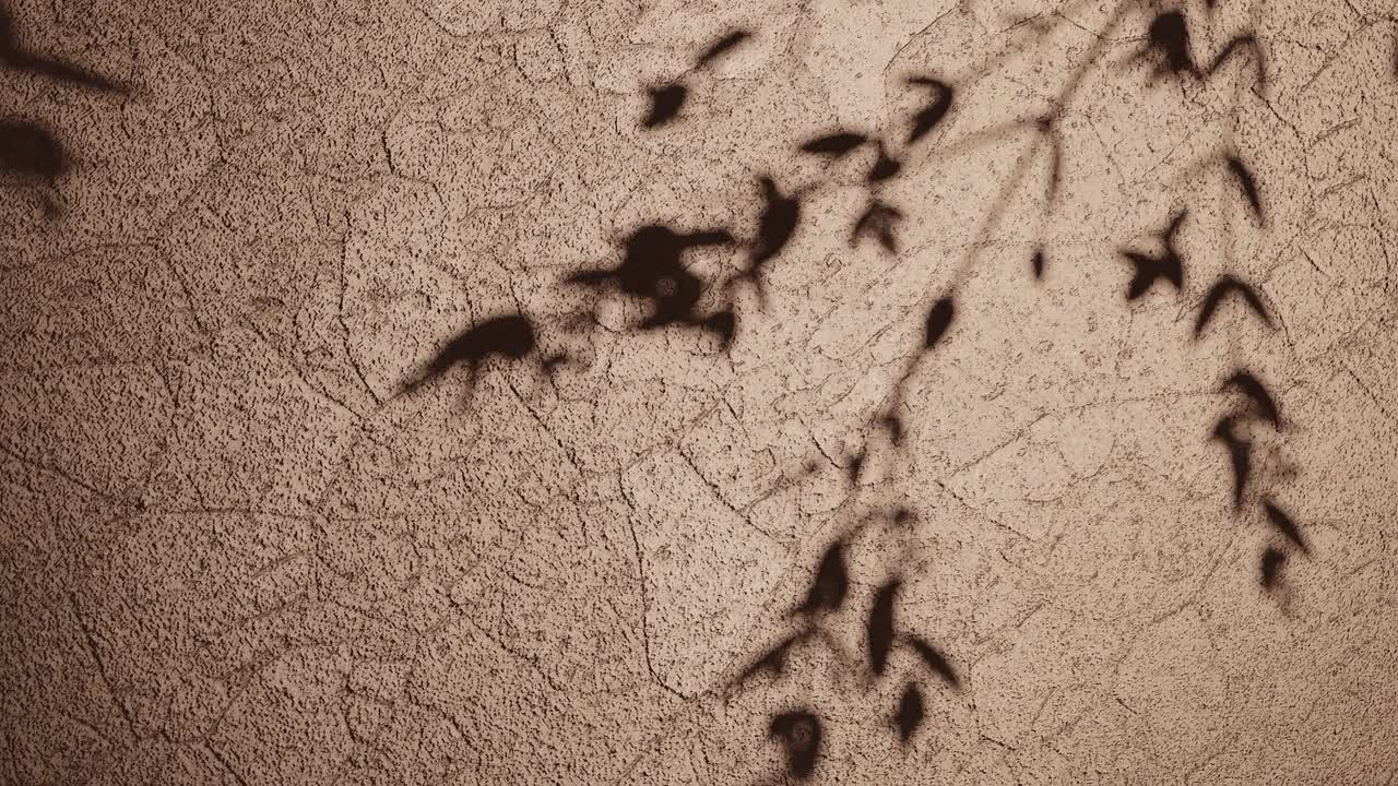 오렌지색 질감의 표면에 있는 자연의 그림자