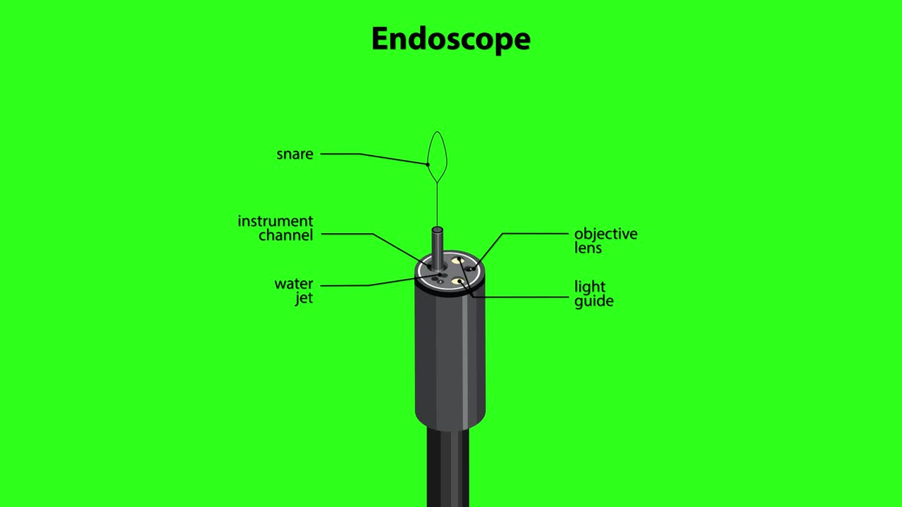 Medical endoscope tip rotates, revealing labeled parts with clear, technical annotations on green background