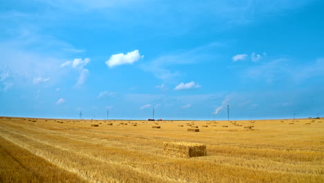 field with straw bales. beautiful yellow agricultural field after harvesting wheat with pressed bales under blue sky. dry bundles with hay in the farmland in sunny day.