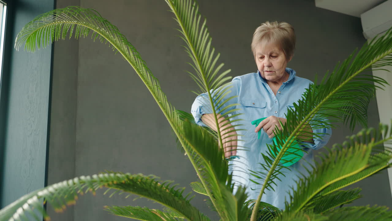 Senior Woman Watering a Palm Plant