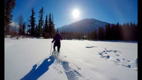 skier woman walking on snowy landscape during winter 4k