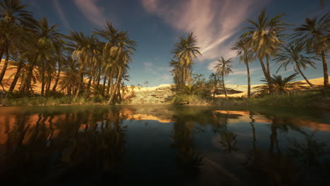 desert oasis sunset landscape