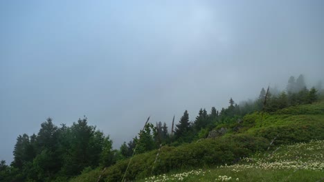 Movimientos-De-Nubes-Sobre-El-Bosque-De-Montaña-2