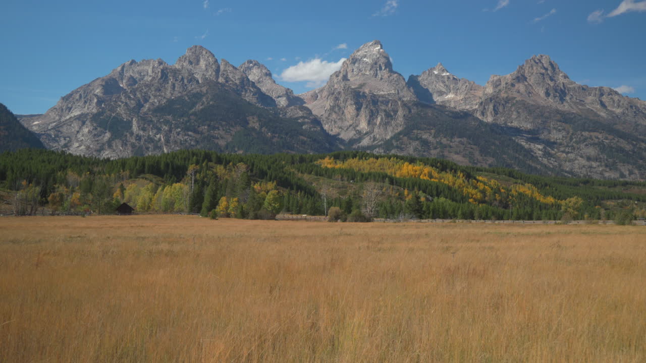 Cinematic slider right movement Grand Teton National Park entrance towards Jenny Lake tall grass fall Aspen golden yellow trees Jackson Hole Wyoming mid day beautiful blue sky no snow on peak