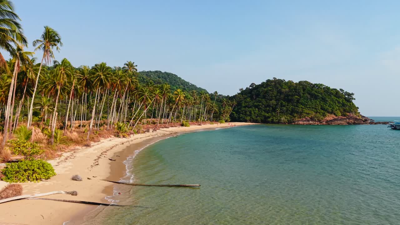 Tropical Beach Landscape with Palm Trees and Blue Sea