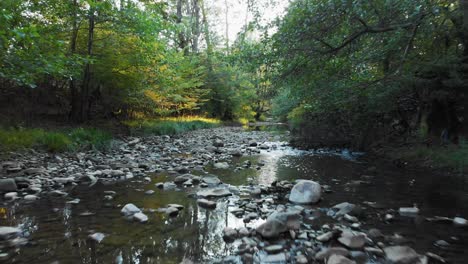 Low-drone-speed-flight-over-small-river-at-sunset-2