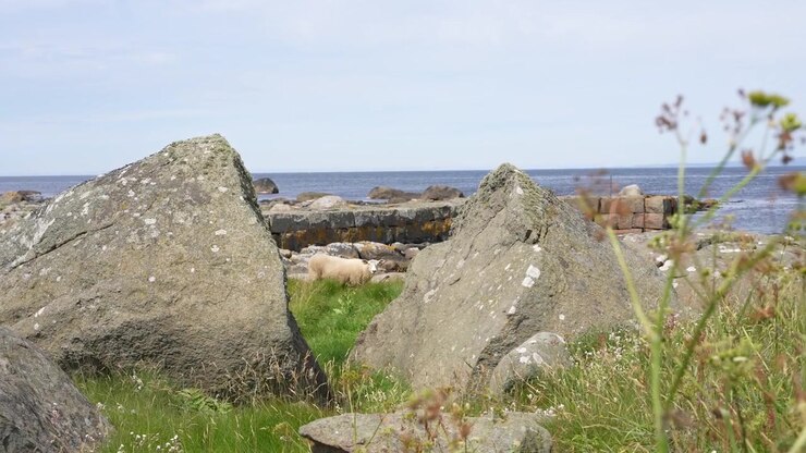 Klippefyldt kystlandskab ved Stavstø, Farsund, Norge, med havudsigt i slowmotion, der viser dagslys