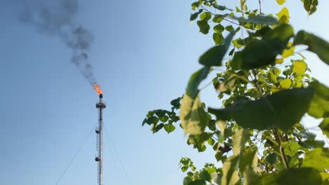 nature and industry concept, burning flare stack and tree leaves on foreground