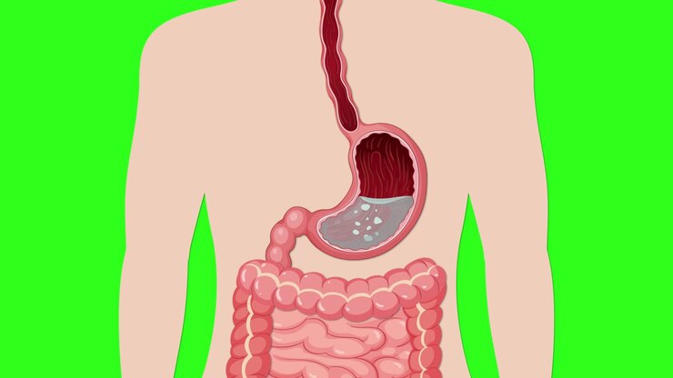 Anatomical illustration showing gas bubbles forming and expanding in the stomach on green background.