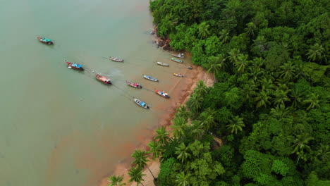 slow aerial rotation over traditional long tail fishing boats in koh lanta, thailand