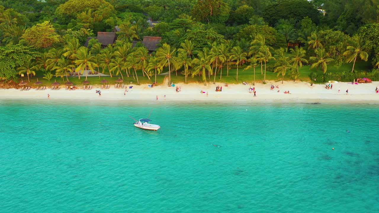 Palm trees on the sandy beach and turquoise ocean from above