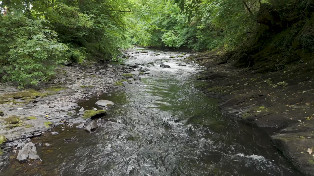 Aerial pull out view of the River Tavy surrounded by lush greenery and rocky banks, Devon, UK