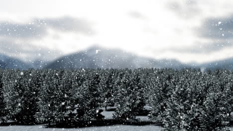 nieve cayendo y abetos