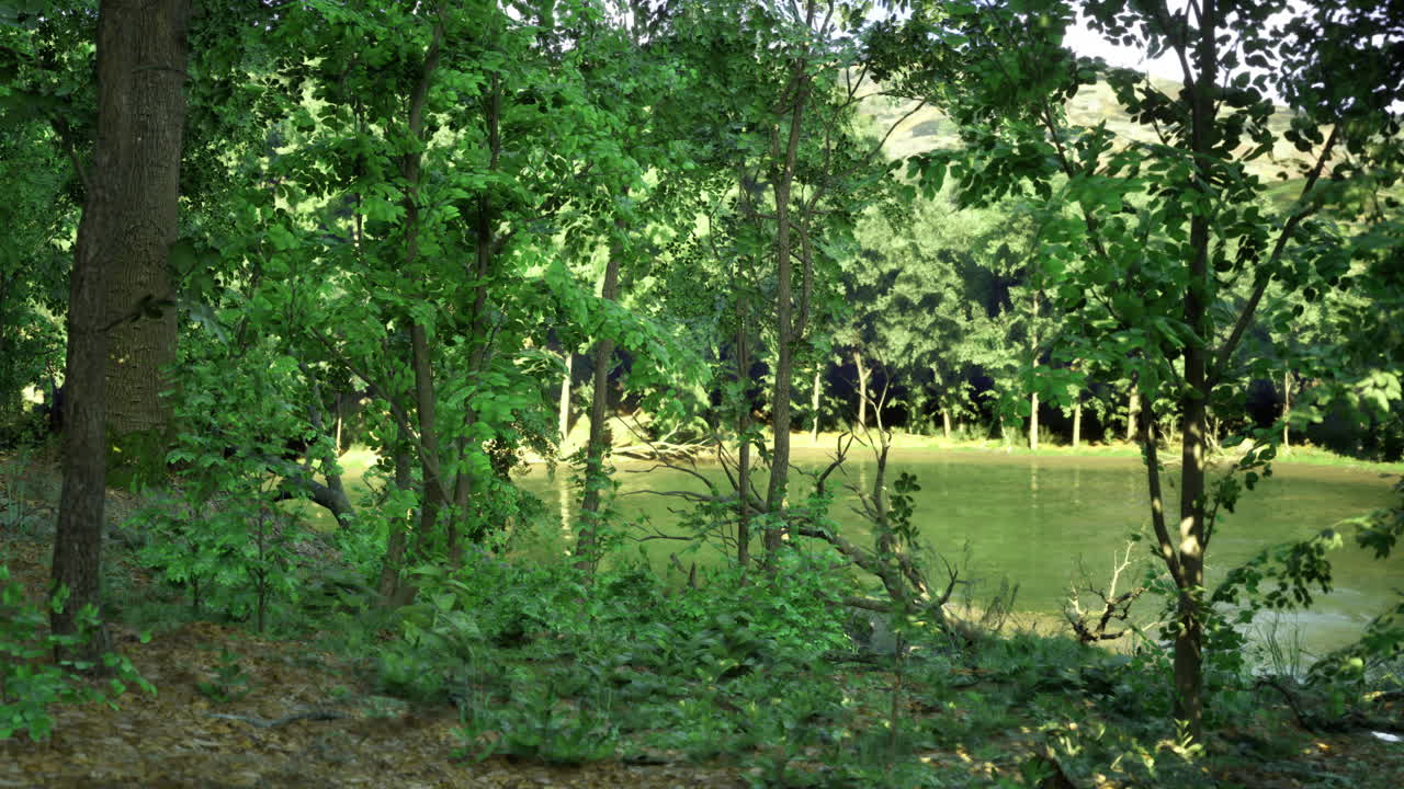 Lush green forest with tranquil lake reflecting sunlight during daytime