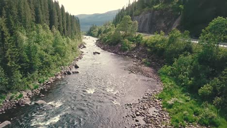 close and slower forward drone shot over a river next to a road in a forest