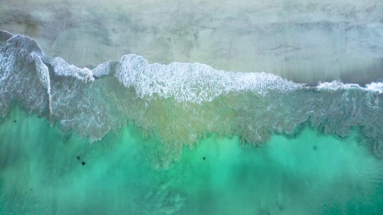 매혹적인 강력한 파도가 부풀어 오르며 뉴질랜드 피하 해변의 검은 모래에 부히고 있습니다.