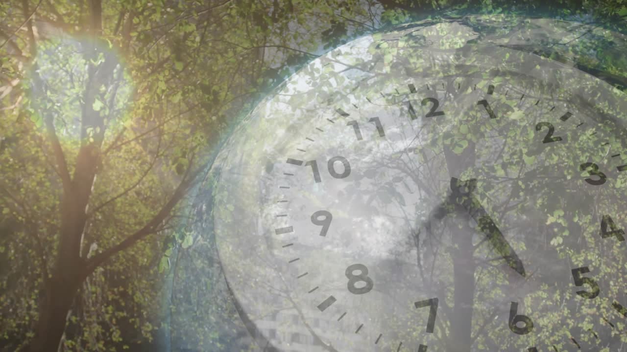 Sun shining through leaves causing clock face appearing while hand moving clockwise showing morning